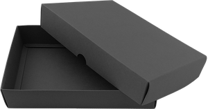 Schachtel (26,8x31,8x3 cm) 1272037