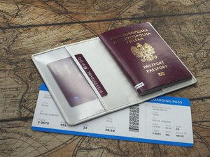 Passport etui 209119